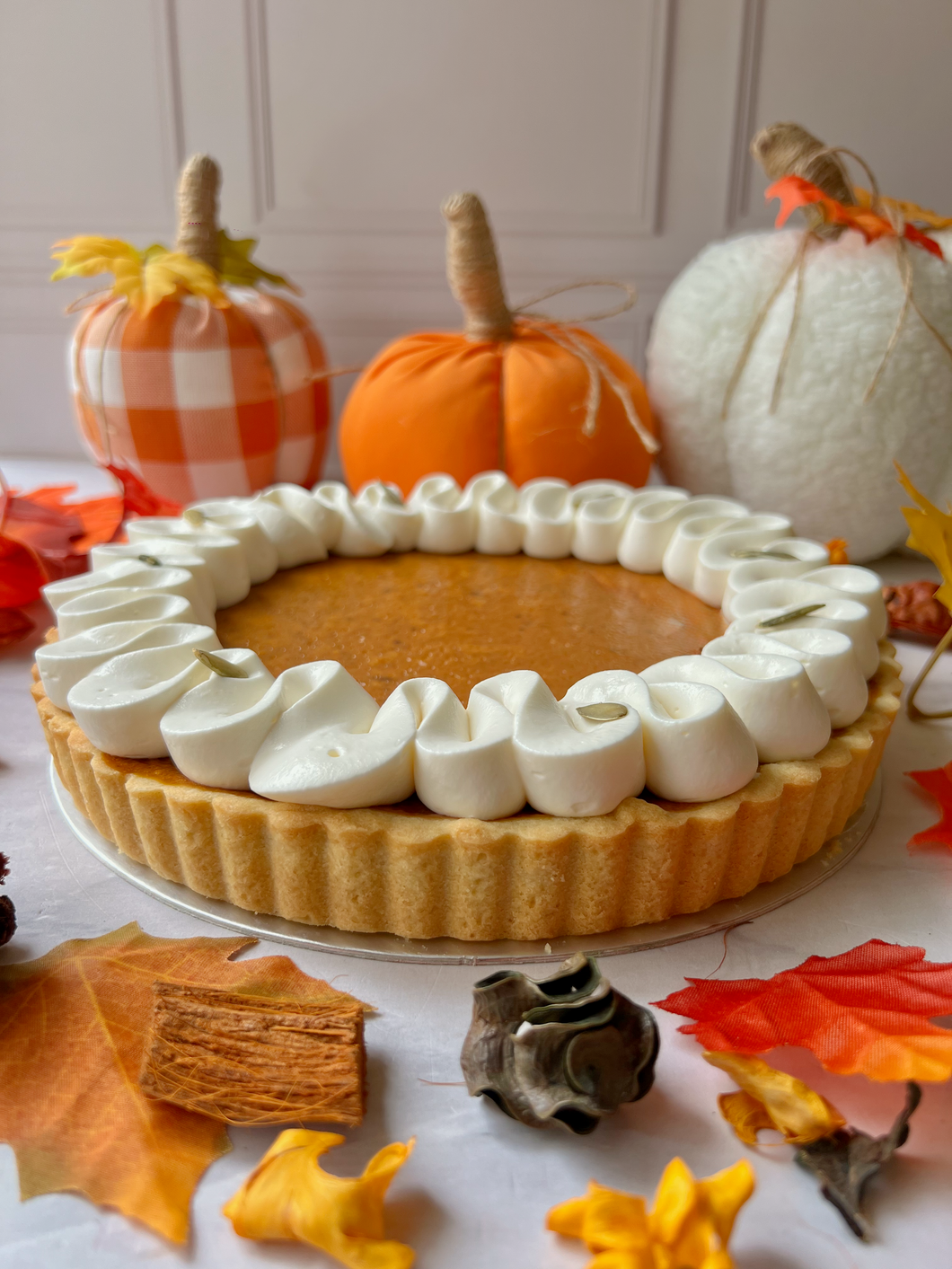 Pumpkin Pie